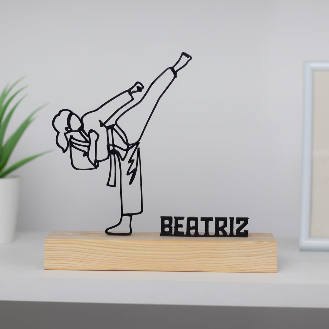 Taekwondo Player