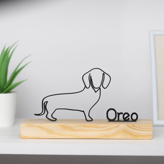 Dachshund