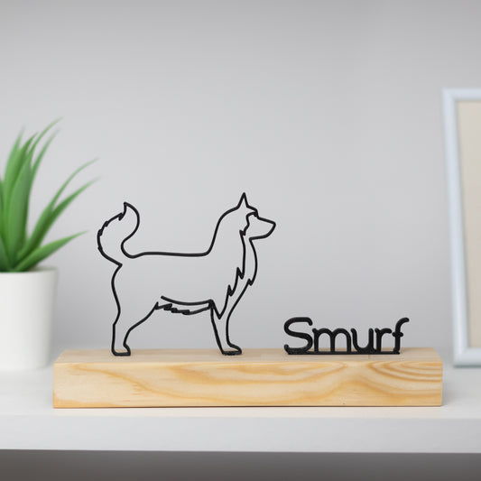 Husky Siberiano