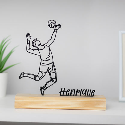 Voleibol Homem